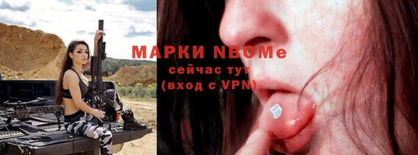 хмурый Карпинск