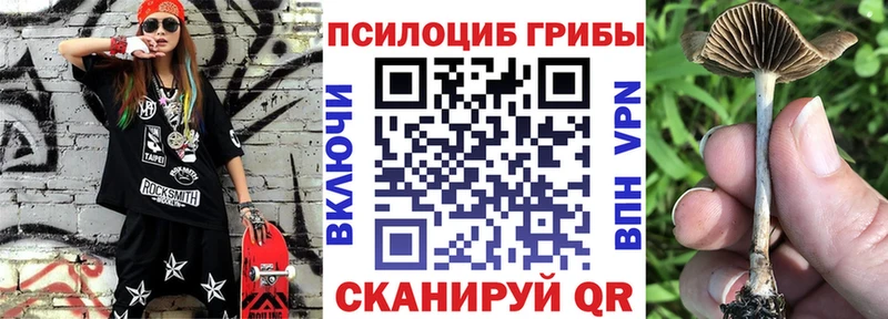 Псилоцибиновые грибы MAGIC MUSHROOMS  Калининград 